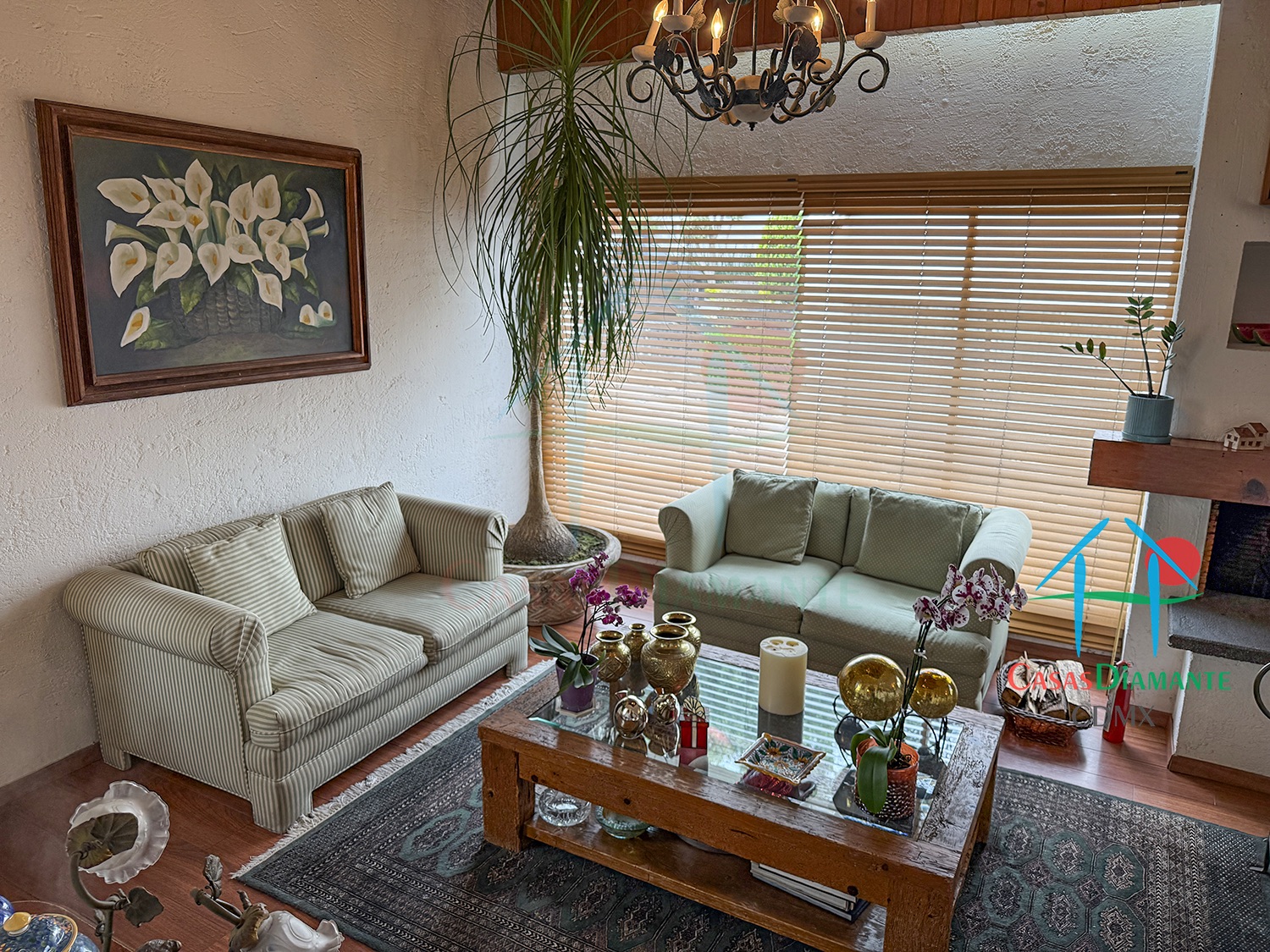 Desierto de los Leones Casa Claudia EHIB - Sala 2 Desierto de los Leones Casa Claudia EHIB - Sala 2